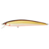 Wobler Pontoon21 Agarron 125F SR 417